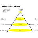         .  Hugo Lahme (VitaLight) 16/4 Power LED 3.0, RGBW,  146 