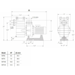     Hayward HCP 401003E1 (380V, 115,6 ./)