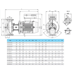    IMP ECL 65-50/4/0.55S/L/D/2TT