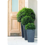   () Keter Rattan Planter S  23,6L, 