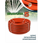   Bravura V 3/4 (19 ) 25 .