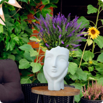   () Idealist Face Planter  (WFP-WHT-27)