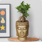   () Idealist Face Planter  (BUD-FP-GLD-26)