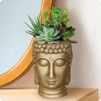   () Idealist Face Planter  (BUD-FP-GLD-26)