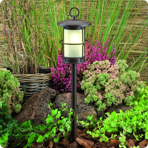     Garden Lights Locos, 