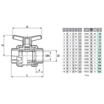      Coraplax TYPE PE .25 (DN20)